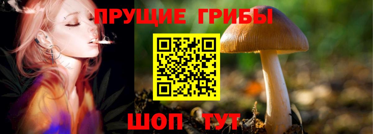 Псилоцибиновые грибы GOLDEN TEACHER Гусев